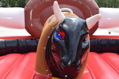 big horn mechanical rodeo bull for sale