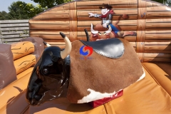 Mechanical Rodeo Bull Riding Western bull inflatable