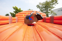 hot sale cheap western mechanical rodeo bull price, inflatable mechanical rodeo bull riding machine for sale