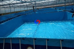 custom drought-resistant water tank Greenhouse water bag mobile swimming pool fish &shrimp breeding pond