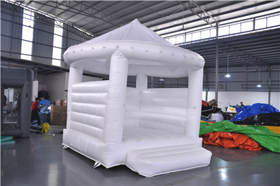 White inflatable bounce castle to Germany